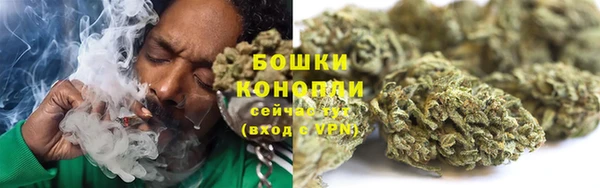 прущая мука Вяземский