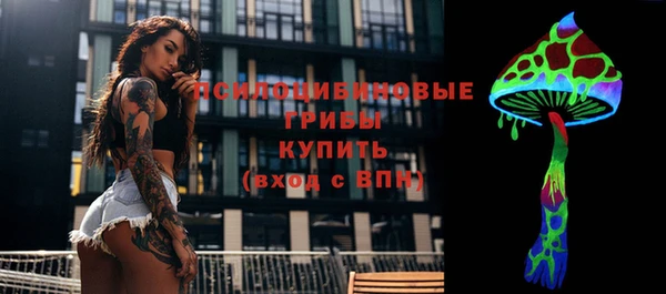 прущая мука Вяземский