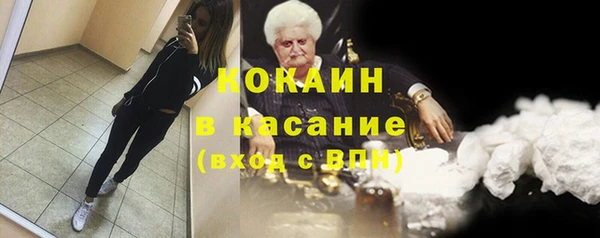 прущая мука Вяземский