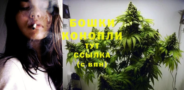прущая мука Вяземский