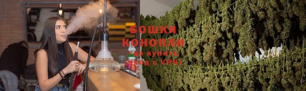 прущая мука Вяземский