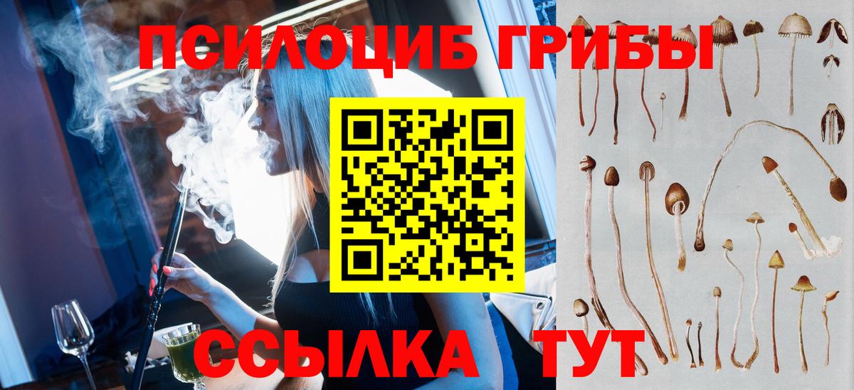 Галлюциногенные грибы GOLDEN TEACHER  Вход с VPN  Нижний Новгород  Псилоцибиновые грибы мухоморы 