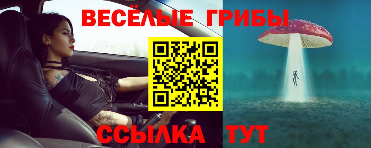 Псилоцибиновые грибы Psilocybe Нижний Новгород